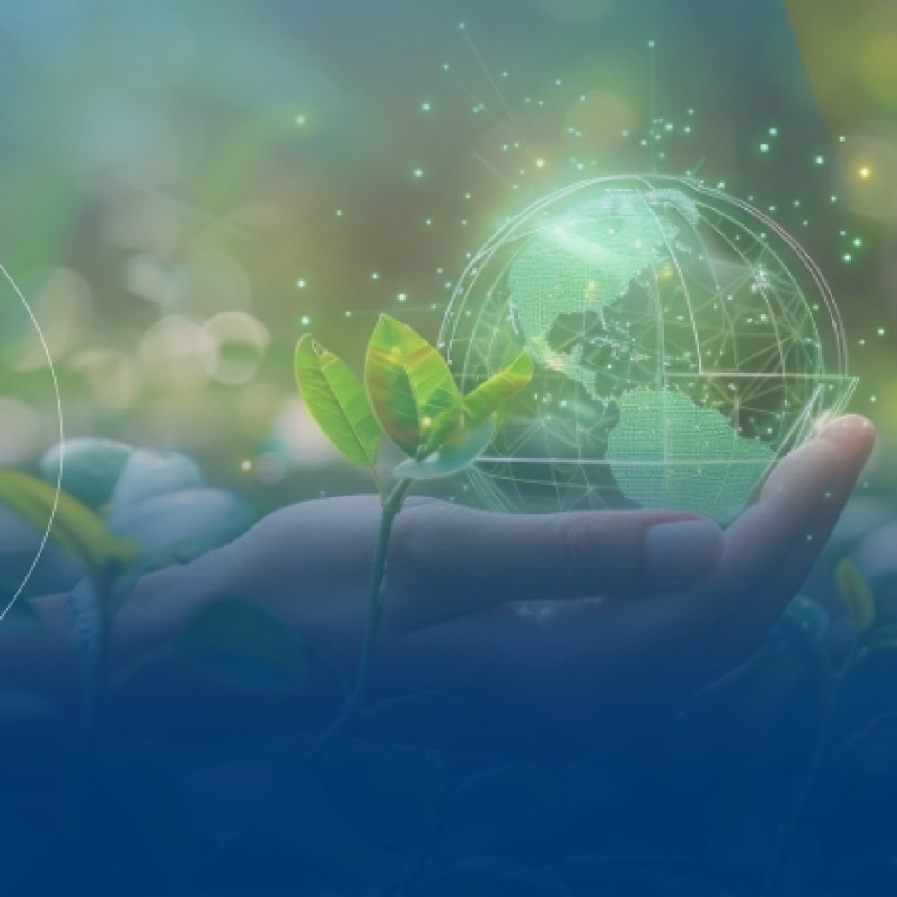 Compromisso com a descarbonização e a crise climática